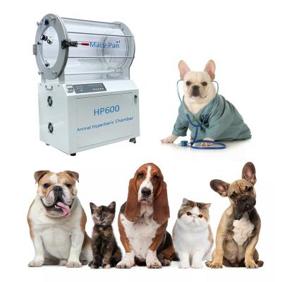 China Pet Health Care Hyperbaric Oxygen Chamber Clinic Equipment Pets Oxygen Veterinary Chamber for sale