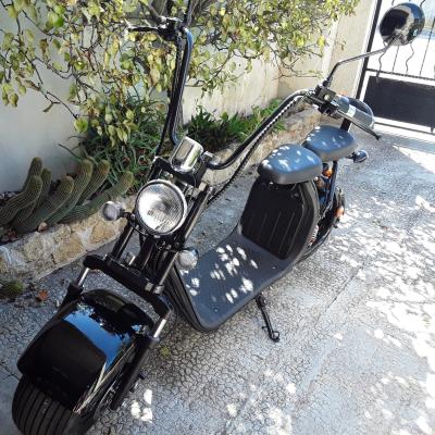 China Wholesale unisex electric scooter model C07A EEC/COC certificated citycoco 1500W motorcycle for France for sale