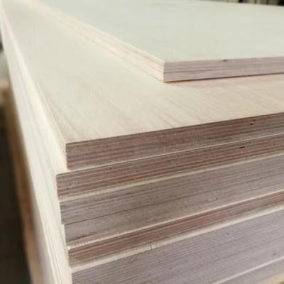 China Other Factory High Quality Low Price Processing 18mm Birch E0 Double Faced Plywood Full Birch Plywood for sale