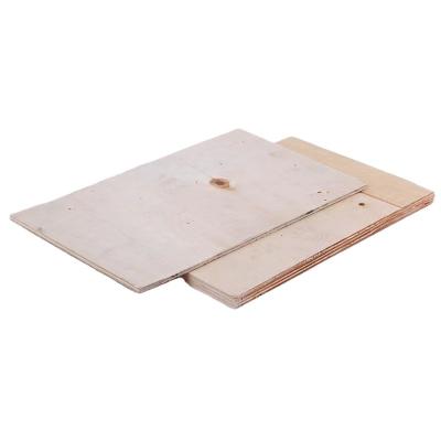 China Other factory low price plywood 4x8 CDX wholesale price plywood for sale