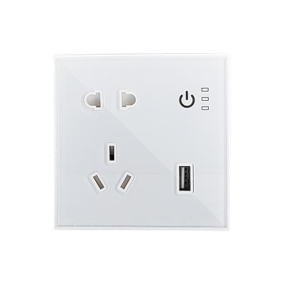 China Convenient Smart Electric Wall Socket wifi Zigbee App TUYA Alexa Remote Control Home Socket With Usb for sale