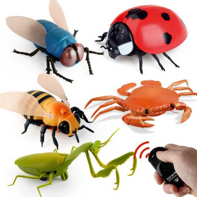 China Eyes Light Up When Operated Crawling Forward With Legs Shaking Bee Ladybug Crab Innovative Funny Gifts Products 2022 Infrared Crawling Toy Prank Remote Control Iinsect Toy for sale