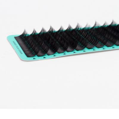 China Black And Soft Free Shipping Eyelash Extension New Arrival AAA Qualified Fast Shipping Lashes Extension for sale