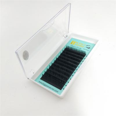 China New Product Promotion Black And Soft Free Shipping Low Price Customized Mink Individual Eyelash Extension Supplier In China for sale