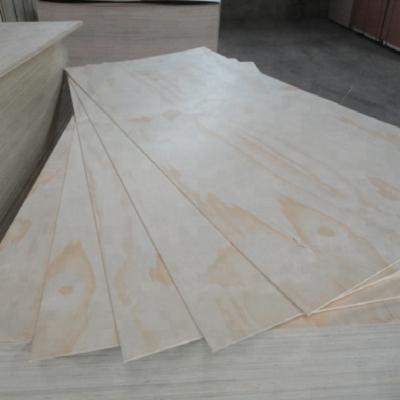 China Traditional Radiata Pine Face Plywood Price 9mm 12mm 15mm 18mm for sale