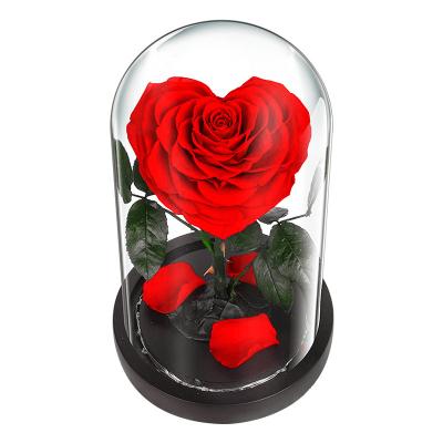 China Hot Sale High-end Gift Box Eco-friendly Preserved Enteric Roses Flower In Glass Dome for sale