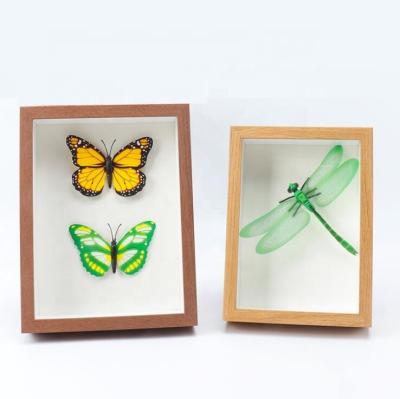 China Eco-Freindly Wholesale Custom Funny Transparent Wooden Picture Frames For Home Decor for sale