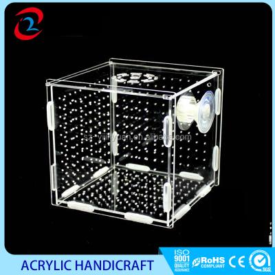 China Viable Pet Reptile Box, Acrylic Pet Reptile Habitat for Larvae Spider Cubs Reptiles for sale