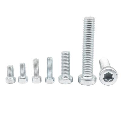 China Galvanized China Factory Wholesale Customized Pan Screw Stainless Steel Fasteners Bolt Screw for sale