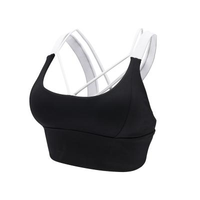 China Shirts & Tops Luxury Yoga Wear Spandex Gym Sports Wear Sexy Bra Custom Women Fitness Yoga Workout Apparel for sale