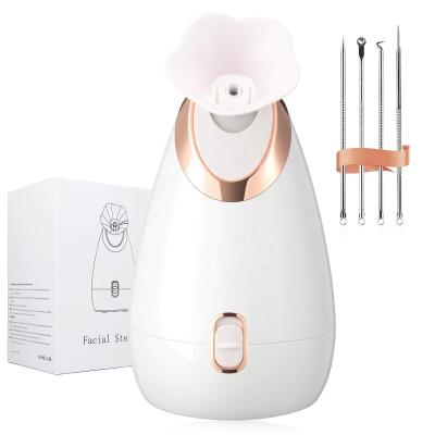 China Person Facial Humifier Profecional DEEP CLEANSING Portable Spa Face Suana Dual Steam Ionic With Lense For Deep Cleansing for sale