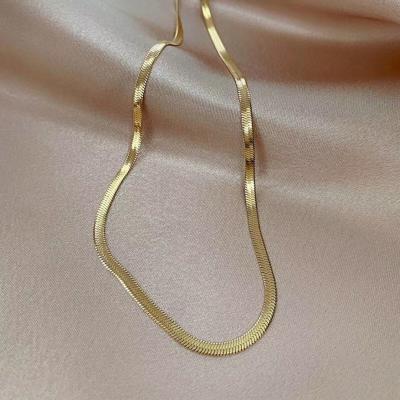 China 2021 Fashion18K Gold Jewelry Snake Link Chain Necklace Stainless Steel Choker Fishbone Choker Necklace For Women for sale