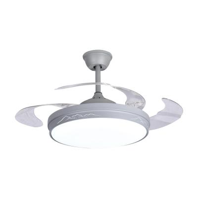 China Modern Variable Frequency Fan Lamp For Living Room Bedroom Dining Room 4 Blades Ceiling Light New 42inch Fan Lamp for sale