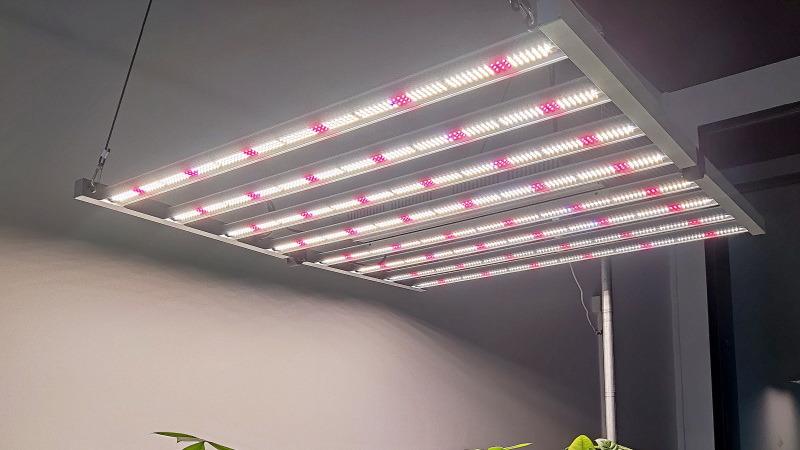 Verified China supplier - Etenlux Lighting Tech Co., Ltd.