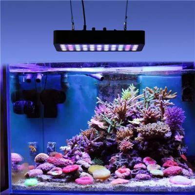 China Widely used in Aquarium Timer 165w Smart Programmable Sunrise Sunrise Sunset Coral Reef Used Factory Bottom UV Sea Fish Tank Led Aquarium Lights for sale