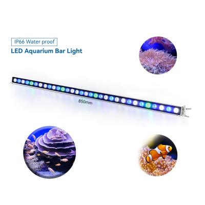 China Fish Tank Coral Reef Raybow Full Spectrum Led Aquarium Light Bar For SPS Lps Coral Reef Growth Aquarium Led Light Bar With Hanging Kits for sale