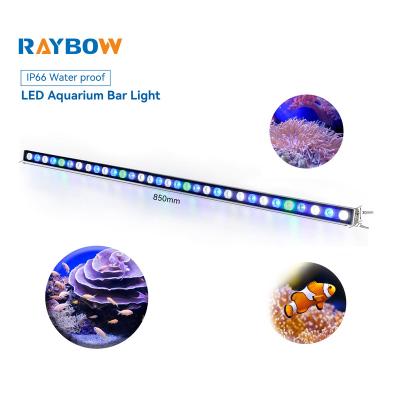 China Coral Reef Aluminum 55cm 85cm 115cm Fish Tank Bar Marine Aquarium Reef Aquatic Light Aquarium Led Lights for sale