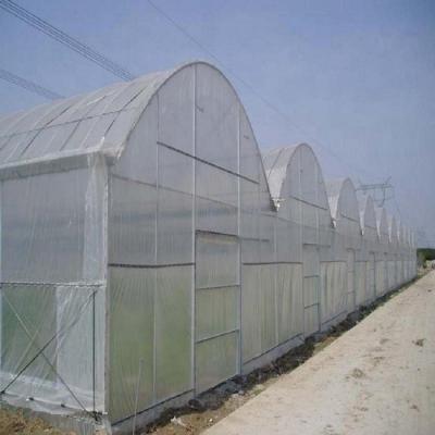 China Stable Structure Easily Assembled Plastic Film Multi-span Tunel Agriculture Greenhouse With Automatic Control System for sale