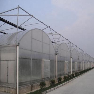 China Stable Structure Easily Assembled Multi-span Tunel Agriculture Greenhouse With Hydroponic System for sale