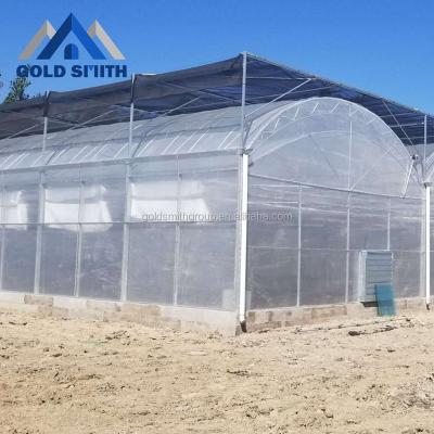 China Stable Structure Easily Assembled Large Multi-span Commercial Tunel Greenhouse With Hydroponic System for sale