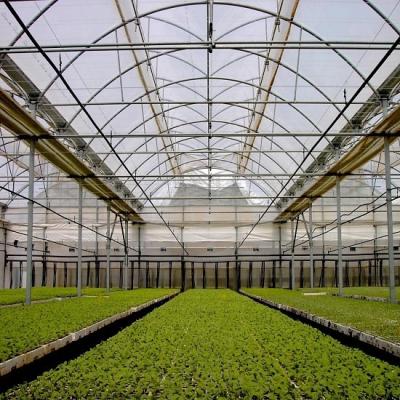 China Vegetable Fruits Flowers Multi-span Film Tunnel Agriculture Greenhouse With Automatic Control System for sale