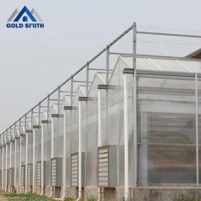 China Large Size Steel Frame Polycarbonate Sheet Vegetable Fruit Flowers Planting Greenhouse for sale