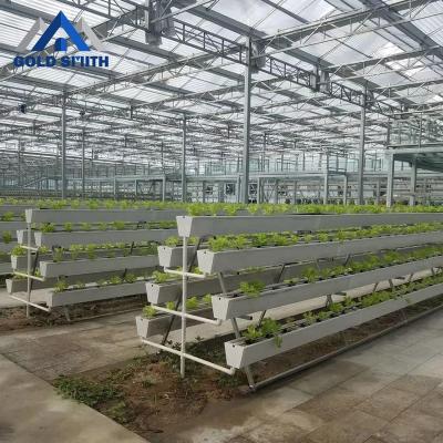 China Hot Galvanized Steel Structure Vegetable Fruit Flowers Greenhouse With Hydroponics System for sale