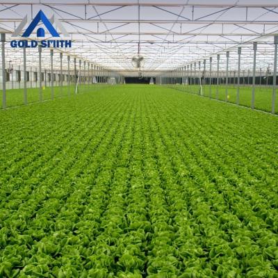 China Chinese Cheap Large Size Fruit Vegetable Flowers Polycarbonate Greenhouse For Tomato Breeding for sale