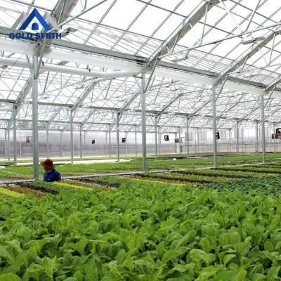 China Outdoor Galvanized Green PC Steel Sheet Fruit Vegetable Flowers Chinese Plant House for sale