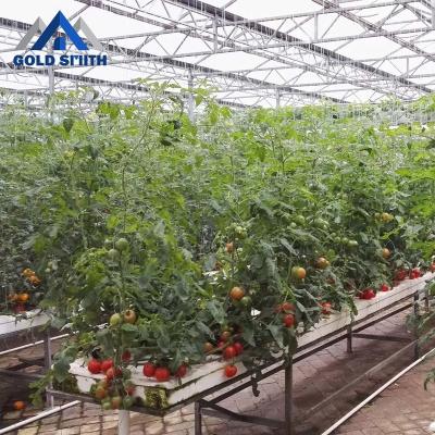 China Economical Farming Fruits Vegetable Flowers PC Greenhouse With Hydroponic System for sale