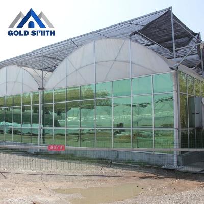 China Large Multi-span Vegetable Film Arch Hot Dipped Galvanized Steel Structure Greenhouse For Agriculture for sale