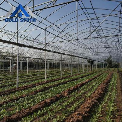 China Fruits Vegetable Flowers Grade Cheap Hot Dipped Galvanized Steel Pipe Greenhouse For Agriculture for sale