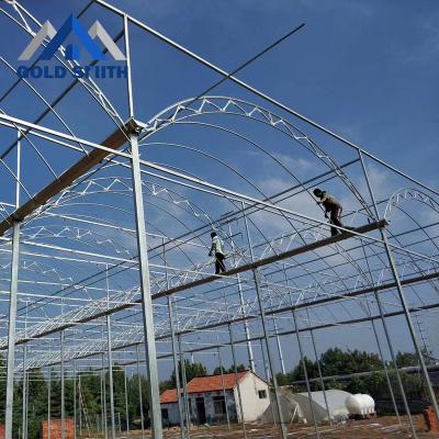 China Fruit Flowers Factory Price Low Cost Plastic Sheet Vegetable Greenhouse For Australia for sale