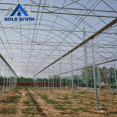 China Fruits Vegetable Flowers Multi-span Film Tunnel Commercial Agriculture Greenhouse With Hydroponic System for sale