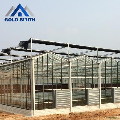 China Vegetable Fruit Flowers Multi-span Venlo Type Hollow Agriculture Glass Greenhouse With Hydroponic System for sale