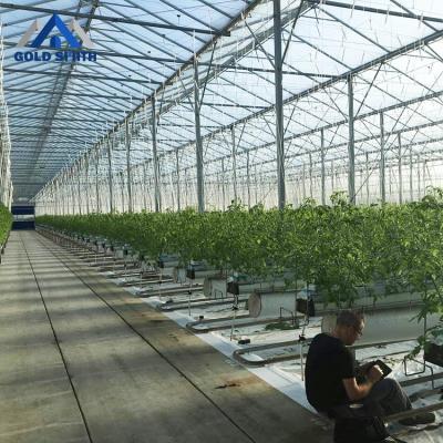 China Fruit Flowers China Greenhouse Supplier Vegetable Gold Smith Agricultural Glass Greenhouse for sale