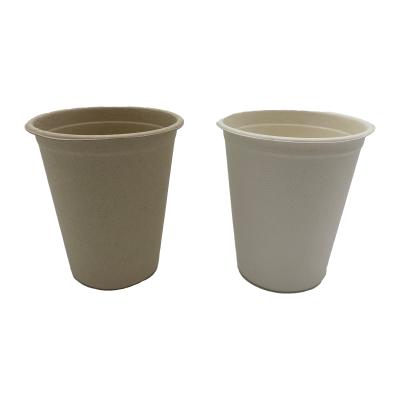 China China Supplier Eco-Friendly Biodegradable Disposable Sugar Cane 8oz Paper Bagasse To Go Coffee Travel Drinks Cup for sale