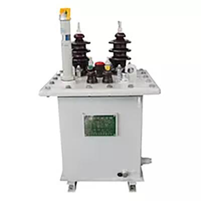 China Change the voltage Manufacture Supply 10-160KVA Single Phase pole mounted Power Transformer D11 for sale