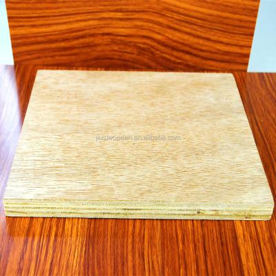 China Poplar 4mm/6mm/9mm/12mm/18mm blockboard/laminboard wood product for door for sale