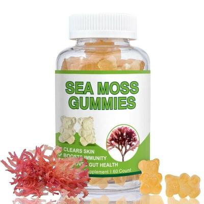 China immune & Raw Seamoss Burdock Sea Moss Gummies Anti-fatigue Root Sea Gummies Sea Moss Gummies and Bladderwrack Organic Supplement for sale