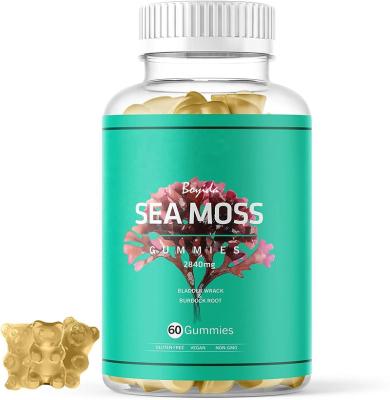 China immune & Anti-Fatigue Private Label Vegan Sea Moss Gummies For Immune System and Bladderwrack Gummies Gummi Vitamin for sale