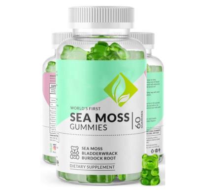 China immune & Anti-Fatigue Private Label Vegan Sea Moss Gummies For Immune System 60 Counts Seamoss and Bladderwrack Gummies for sale