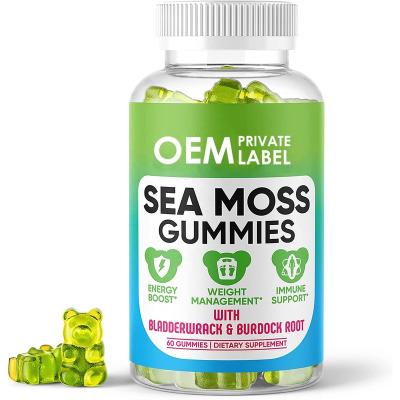 China immune & Anti-fatigue private label vegan sea moss gummies for immune system 60 counts seamoss and bladderwrack gummies for sale