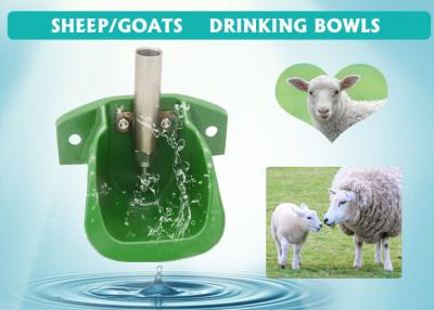 China 2 Mounting Holes 170ml Sheep Water Drinkers With Sucker Valve for sale