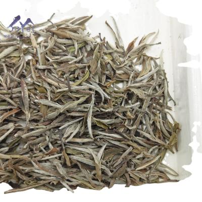 China Loose Tea Quality Assurance Special Yunnan Loose Tree Old Drinking Fuding White Tea Benefits for sale