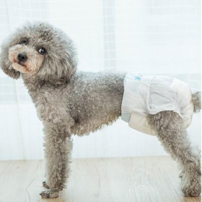 China Double Film Female Dog Diaper Like A Durable Disposable Elastic Waistband Cloth for sale