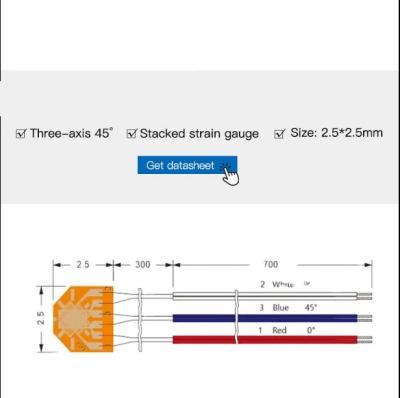 China Ruijia Bridge Strain Gage Sensor Self-Compensated for Temperature Creep Measurement for sale