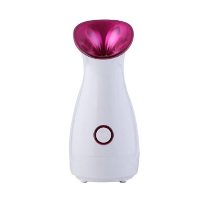 China Professional Personal Electric Facial Facial Face Mist Nano Ozone Moisturizer Beauty Moisturizer Household Sprayer Hot Steamer for sale