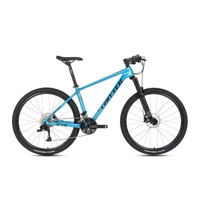 China 2021 Magnesium alloy factory direct wholesale29 inch mountain bicycle 13 speed carbon fiber mountain bike for sale