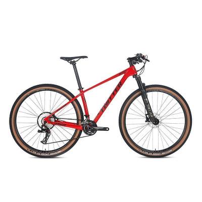 China Factory direct sales full carbon fiber design 29 inch 12 speed brand new carbon fiber suspension mountain bike for sale